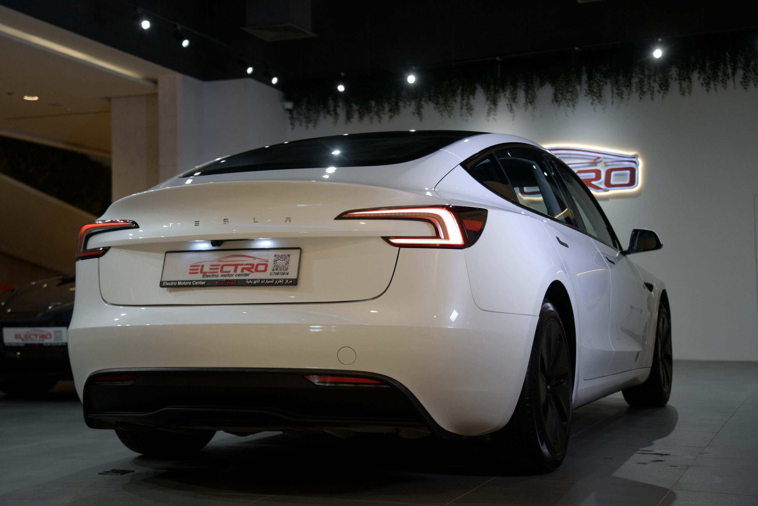 
								Tesla Model 3 2024 Standard Range Plus full									