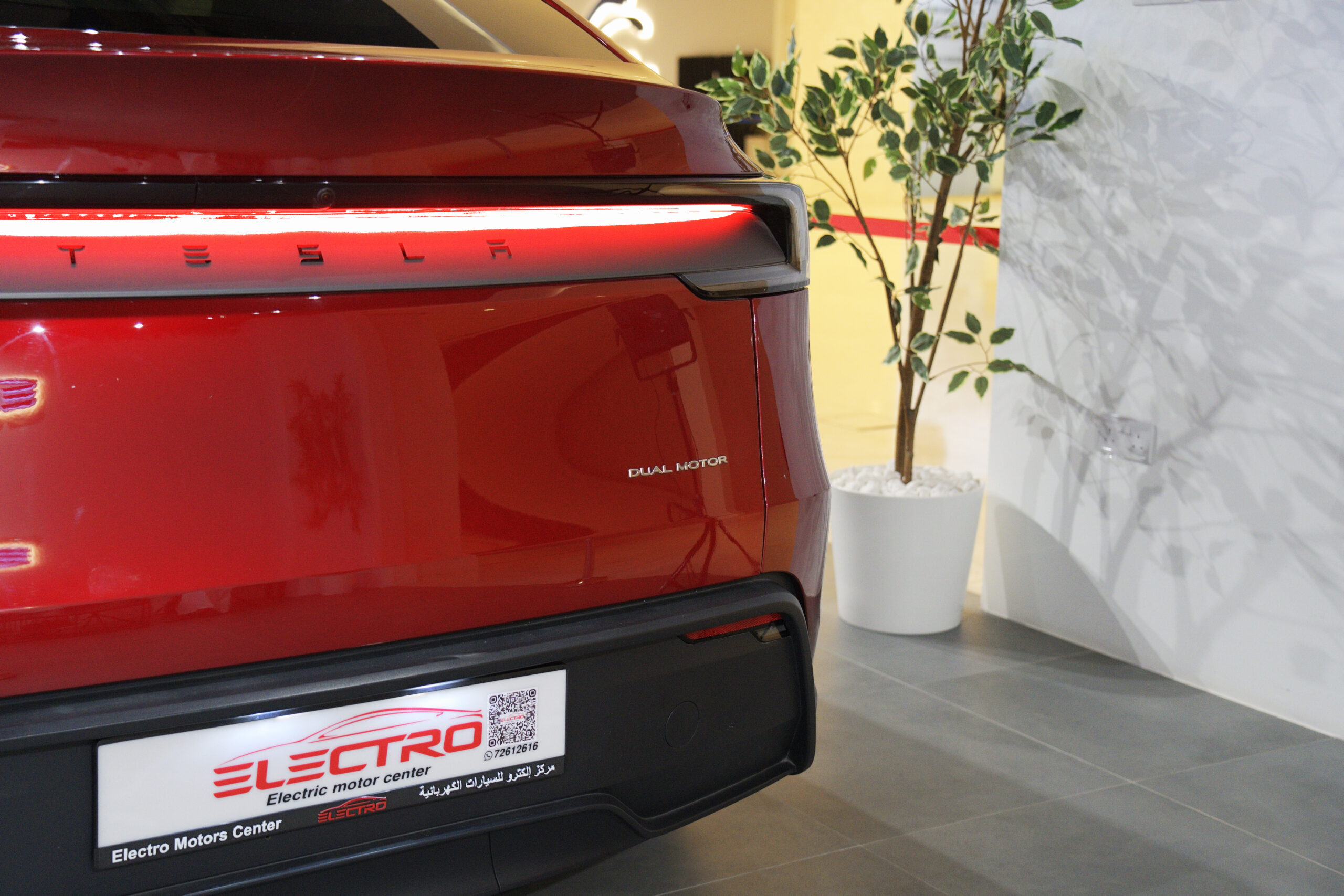 
								Tesla Model Y Long Range AWD 2025 full									